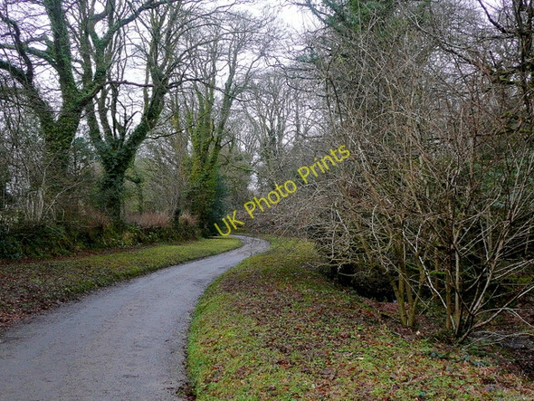 Photo 6"x4" Drive to Newton and Lanhydrock Cutmadoc c2010
