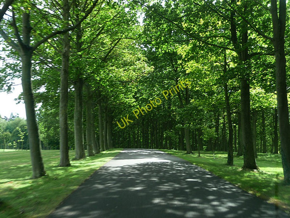 Photo 6"x4" Entrance drive to Buscot House Buscot c2009