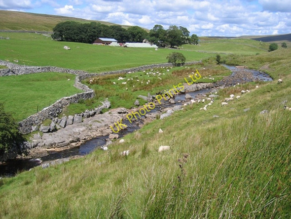 Photo 6"x4" Thorn Gill Ribble Head\/SD7779 c2007