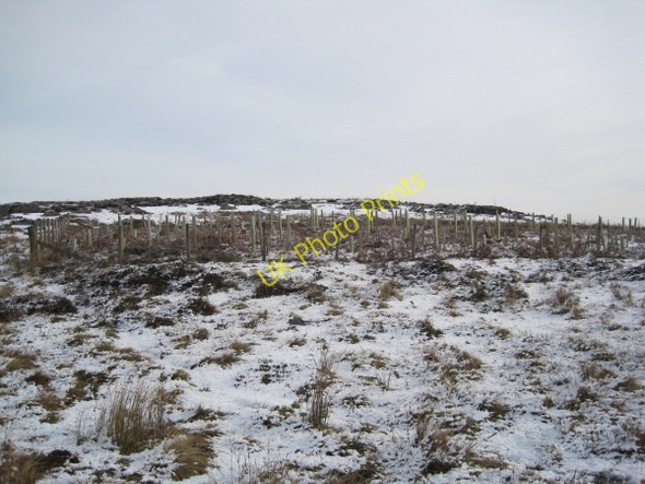 Photo 6"x4" School Crags near the Pennine Way Bellingham\/NY8383 c2010