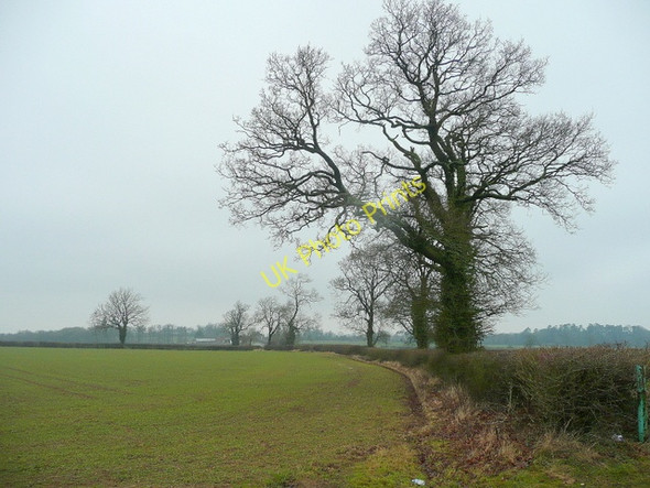 Photo 6"x4" Field edge near Ashby Grange Ashby St Ledgers c2010
