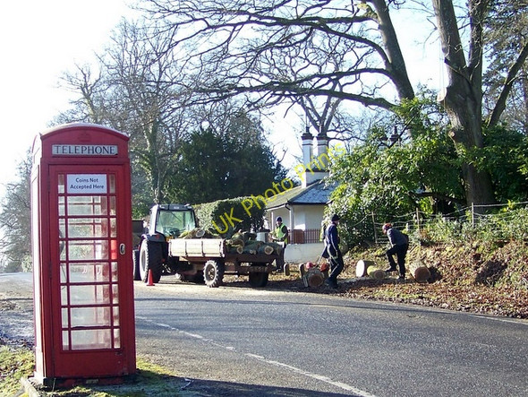 Photo 6"x4" Tree felling near Brook Brook\/SU2714 c2010