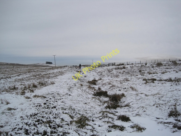 Photo 6"x4" Footpath towards Hainingrigg Bellingham\/NY8383 c2010