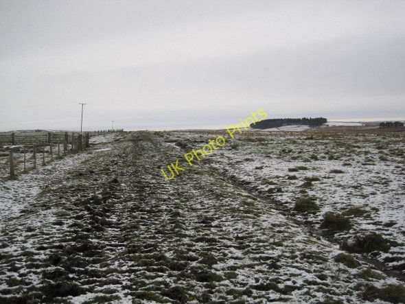 Photo 6"x4" Footpath towards Keepers Cottage Bellingham\/NY8383 c2010