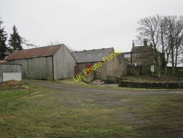 Photo 6"x4" Hainingrigg Farm Bellingham\/NY8383 c2010
