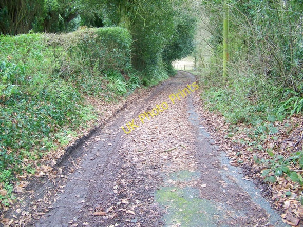 Photo 6"x4" Footpath, Compton Abbas Compton Abbas c2010