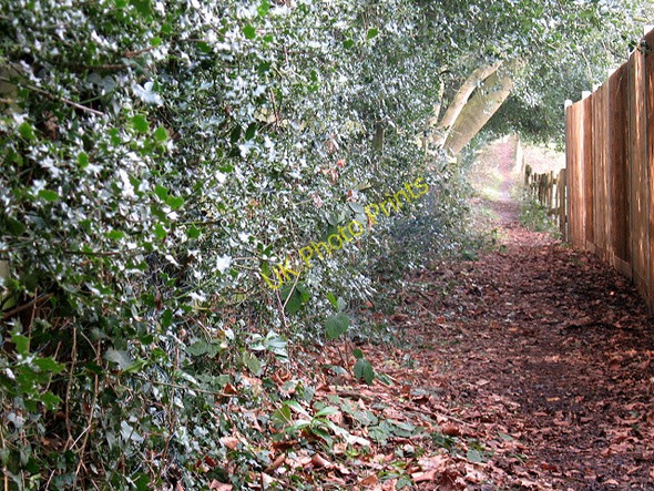 Photo 6"x4" Footpath to Motts Hill Lane Tadworth c2010