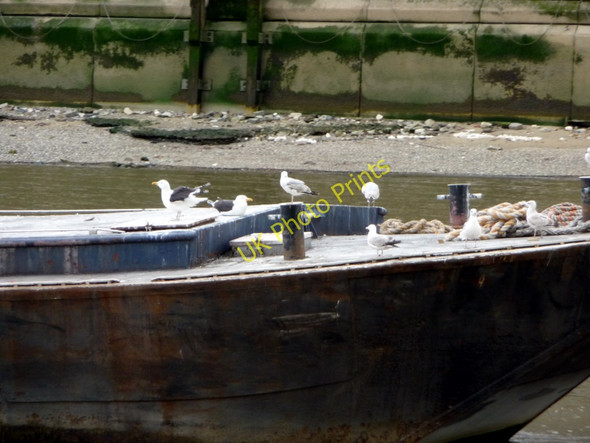 Photo 6"x4" Seagulls on barge near Blackfriars, London London c2009