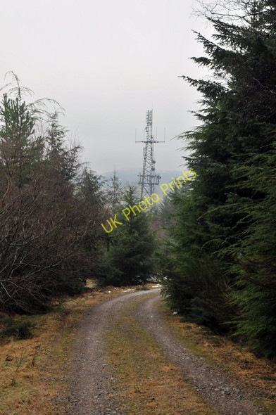 Photo 6"x4" Forestry road and transmitter in Lochletter Wood Balnain\/NH4430 c2010