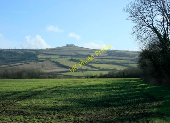 Photo 6"x4" 2010 : View east from the end of Avon Lane near Swineford Bitton c2010