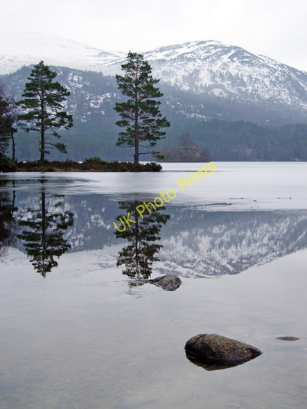 Photo 6"x4" Loch an Eilein Doune\/NH8809 c2010