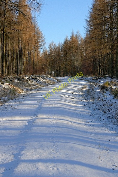 Photo 6"x4" Track onto Rievaulx Moor Hawnby c2010