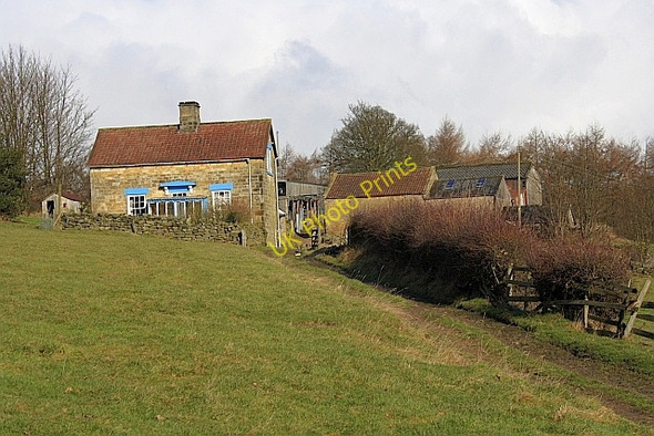 Photo 6"x4" Timber Holme Hawnby c2010