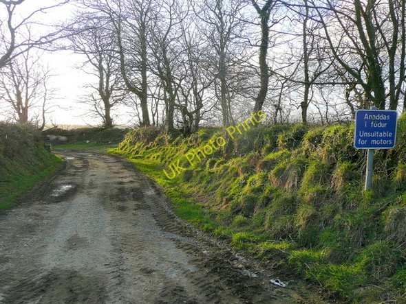 Photo 6"x4" Byway from Lochmeyler Llandeloy c2010