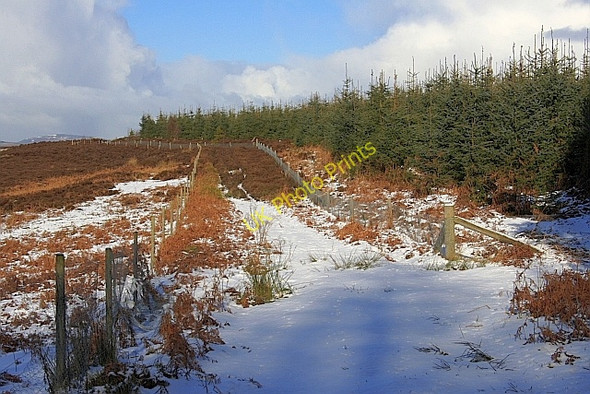 Photo 6"x4" Little Roppa Roppa Wood c2010