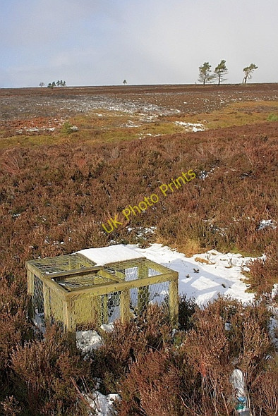 Photo 6"x4" Animal Trap, Helmsley Moor Carlton\/SE6086 c2010