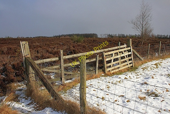 Photo 6"x4" Field Corner, Helmsley Moor Carlton\/SE6086 c2010