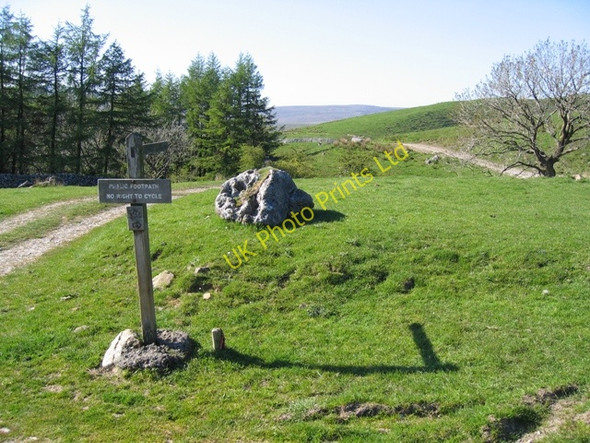Photo 6"x4" The Ribble Way to Nether Lodge Selside\/SD7875 c2007