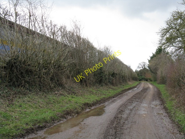 Photo 6"x4" Muddy Lane At Upton Court Stony Cross\/SO5466 c2010