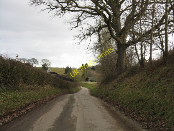 Photo 6"x4" Lane To Hayes Farm Berrington\/SO5767 c2010