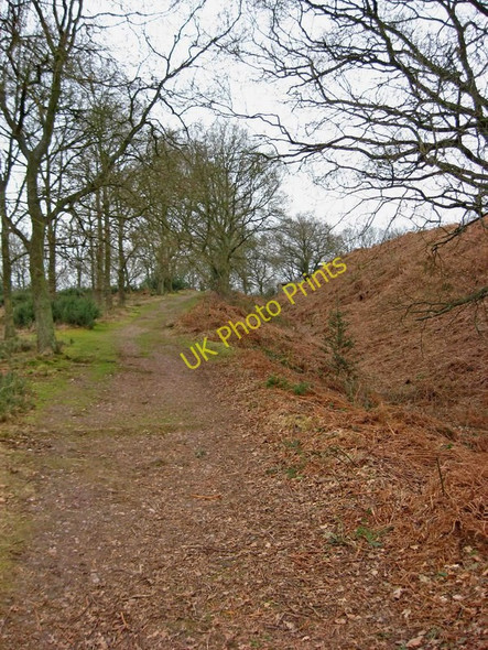 Photo 6"x4" Path on Kinver Edge Kinver c2010