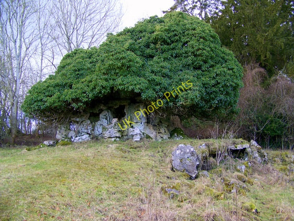 Photo 6"x4" Grotto, near Fonthill Gifford Fonthill Bishop c2010 P1