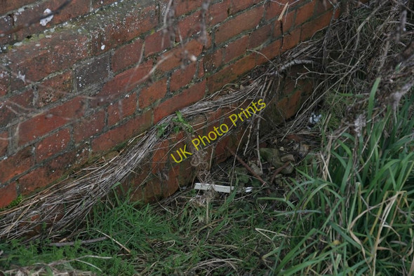 Photo 6"x4" Top of the arch Chilton\/SU4885 c2010