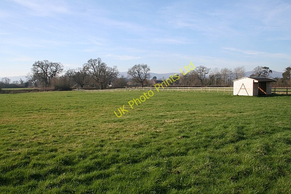 Photo 6"x4" Paddock, Hanley Hall Farm Gilver's Lane c2008