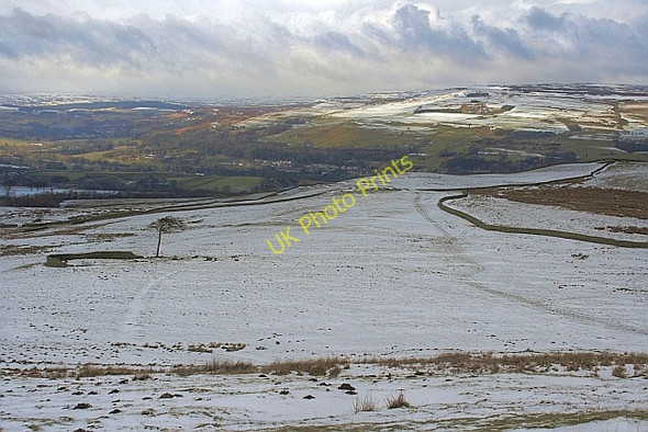 Photo 6"x4" Ruined Sheep Fold Hill End\/NZ0135 c2010
