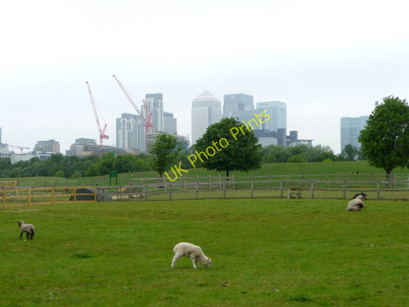 Photo 6"x4" Mudchute Farm, Isle of Dogs Greenwich\/TQ3977 c2009