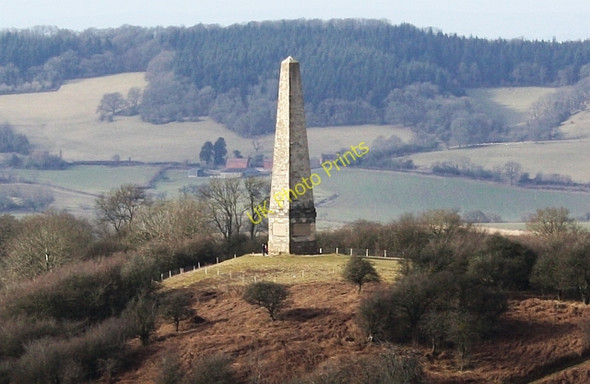 Photo 6"x4" The Somers Obelisk Hollybush\/SO7636 c2010