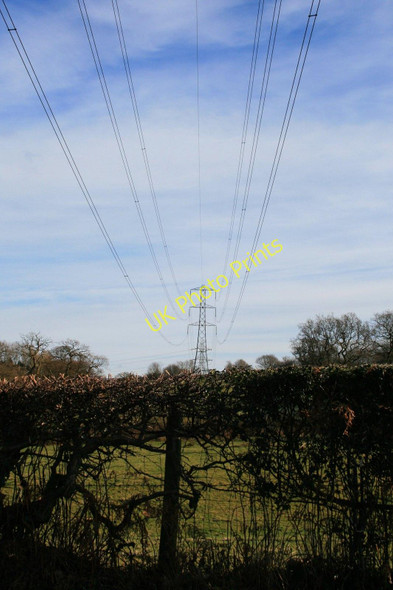 Photo 6"x4" Hedge and power lines Adlington\/SJ9180 c2010