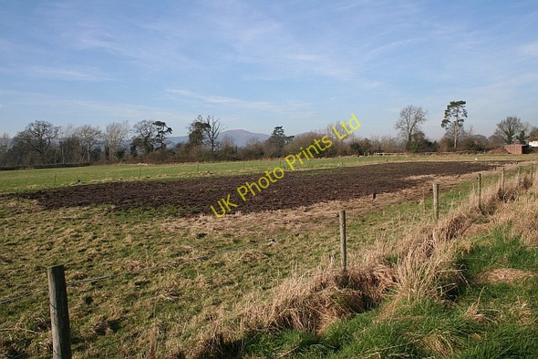 Photo 6"x4" Horse Training Area, Hanley Hall Farm Hanley Swan c2008