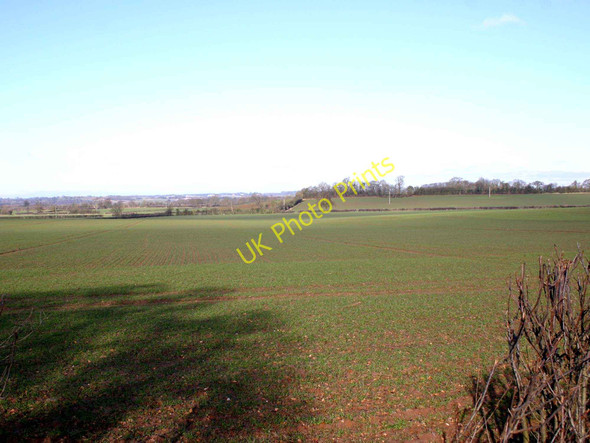 Photo 6"x4" View NW from Newbold Road, Wellesbourne Newbold Pacey c2010