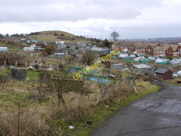 Photo 6"x4" Allotments, Tunstall Hills Hillview\/NZ3954 c2010
