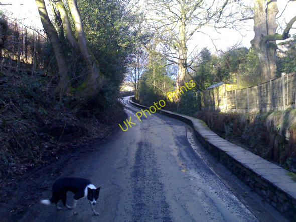 Photo 6"x4" Woodhouse Lane 55 years on Catley Lane Head c2010