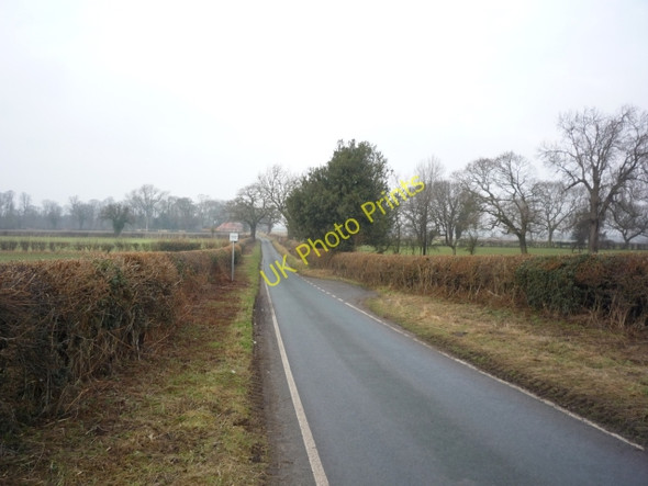 Photo 6"x4" Westwood Lane Askham Bryan c2010