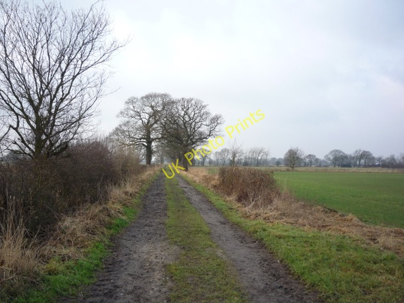 Photo 6"x4" Along Lorrenger Lane Askham Bryan c2010