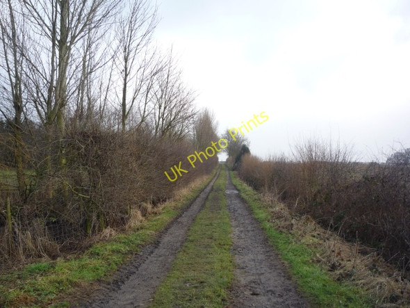 Photo 6"x4" Looking along Lorrenger Lane Askham Bryan c2010