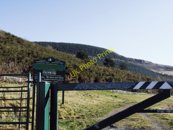 Photo 6"x4" Tyn Y Bedw Rhondda c2010