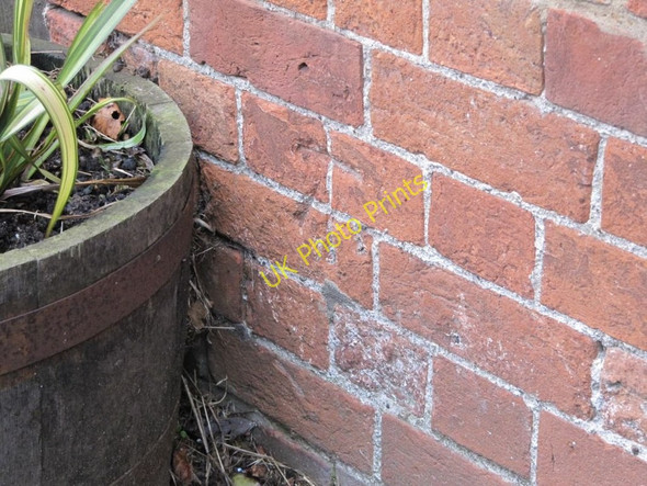 Photo 6"x4" Benchmark behind the tub Cholsey c2010