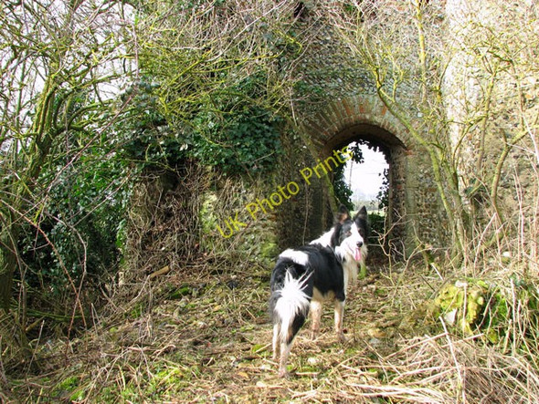 Photo 6"x4" The ruined church of St Nicholas - west end of the nave Gasthorpe c2010