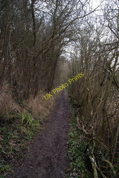 Photo 6"x4" Footpath at Great Canfield Park Hope End Green c2010