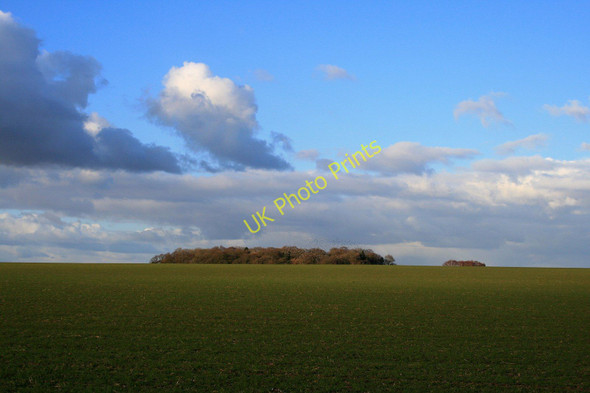 Photo 6"x4" Field near Saxondale Saxondale c2010
