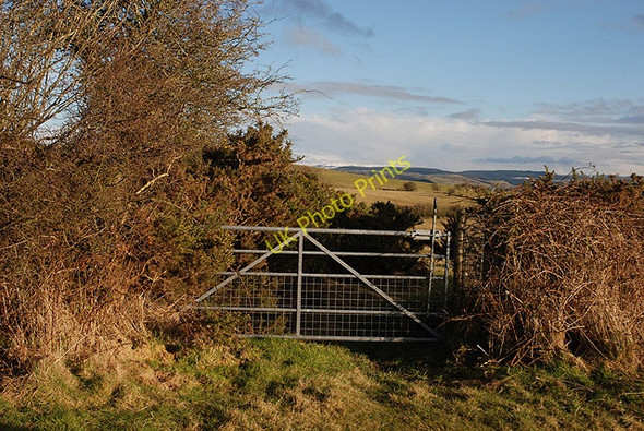 Photo 6"x4" Start of bridleway heading for New Cross Y Gors\/SN6377 c2010
