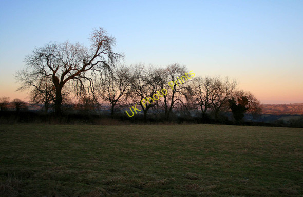 Photo 6"x4" Hedge with trees Swinscoe c2010