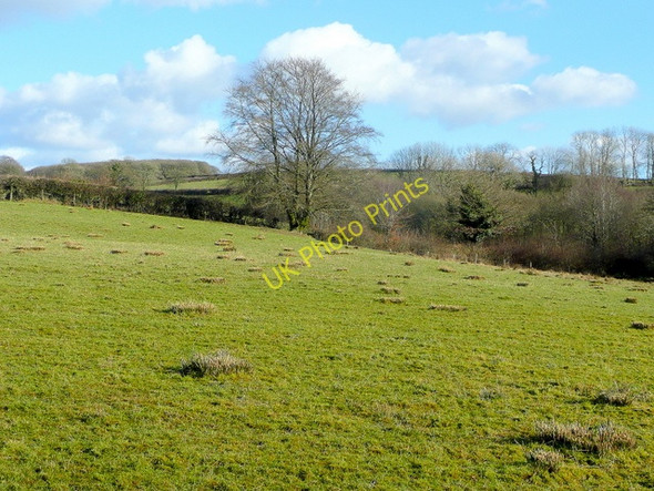 Photo 6"x4" Pasture east of the A485 Alltwalis c2010