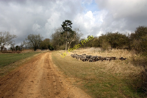 Photo 6"x4" Logs by the bridleway Conderton c2010