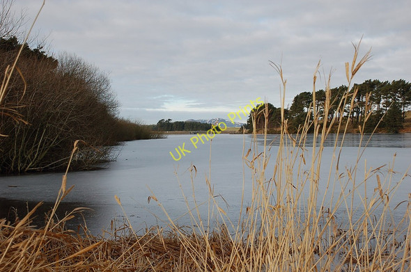 Photo 6"x4" NE arm of Gladhouse Reservoir Rosebery c2010