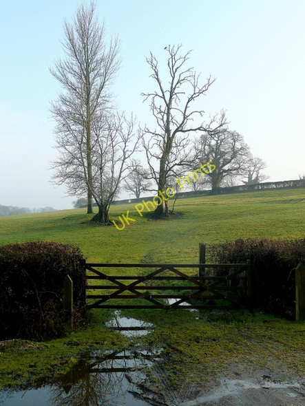Photo 6"x4" Fritham fields 1 Fritham c2010